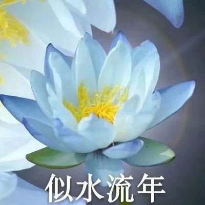 热搜爆了！2026年高考作文题出炉，命题思路解析来了